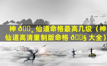神 🕸 仙道命格最高几级（神仙道高清重制版命格 🐧 大全）